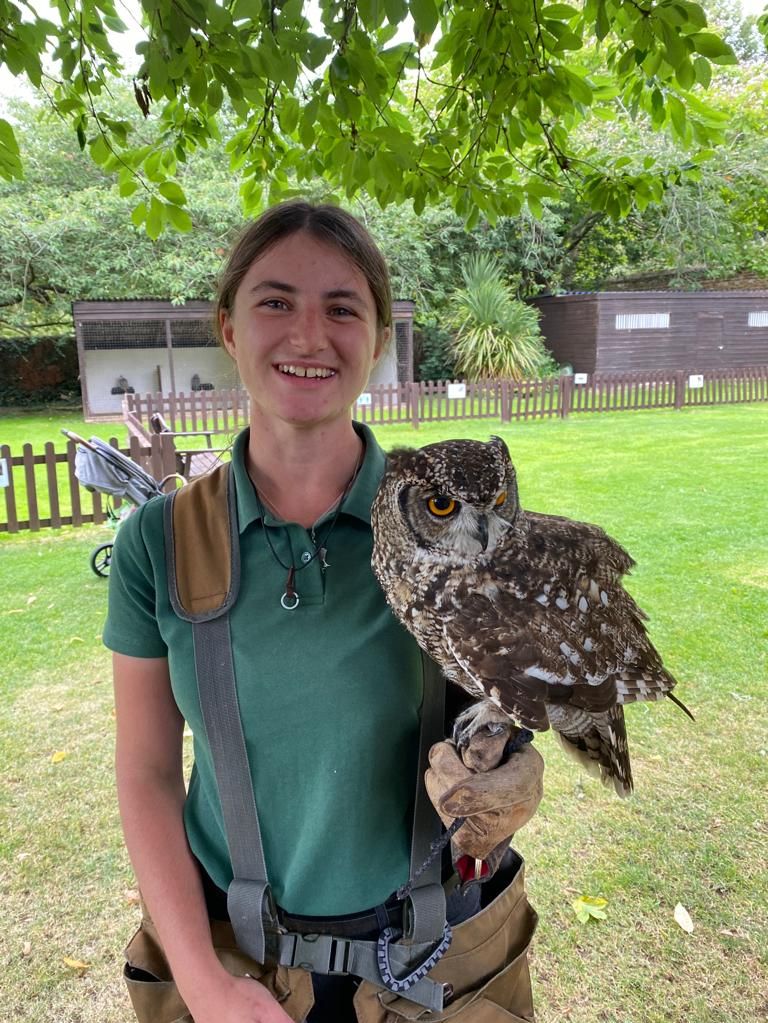 About Us - Icarus Falconry